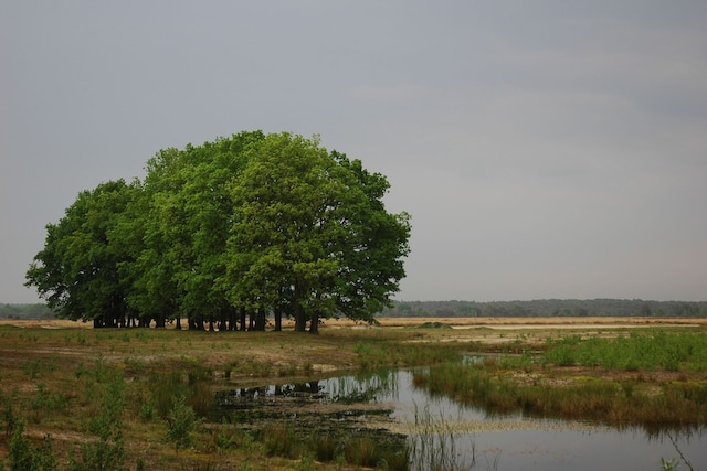 Terraced Home in Netherlands near Veluwe, Voorthuizen