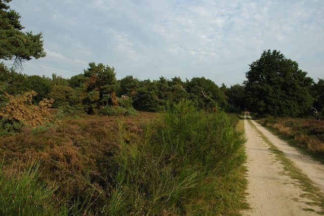 Terraced Home in Netherlands near Veluwe, Voorthuizen
