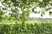 Peaceful Farmhouse in Doorn near Forest