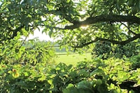 Peaceful Farmhouse in Doorn near Forest