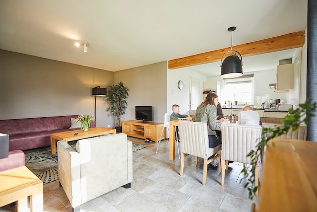 Farmhouse in Limburg near Designer Outlet, Roggel