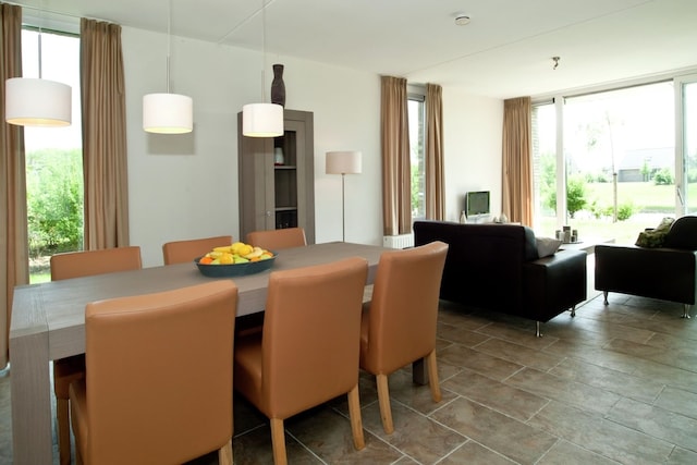 Tail-Wagging Lake Escape, Heel