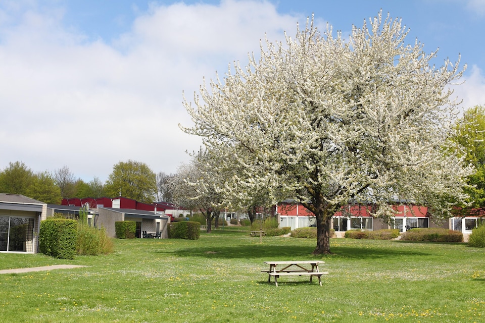 Bungalow cerca de Valkenburg, Schin op Geul