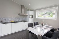 Modern chalet nabij Brunssummerheide
