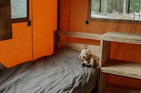 Safari Tent in Netherlands Glamping Escape