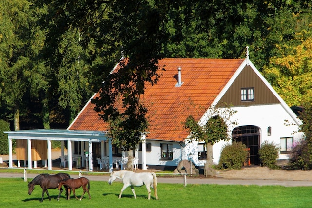 Chalet in Overijssel mit großer Terrasse