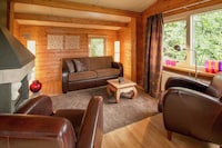 Chalet in Overijssel mit großer Terrasse