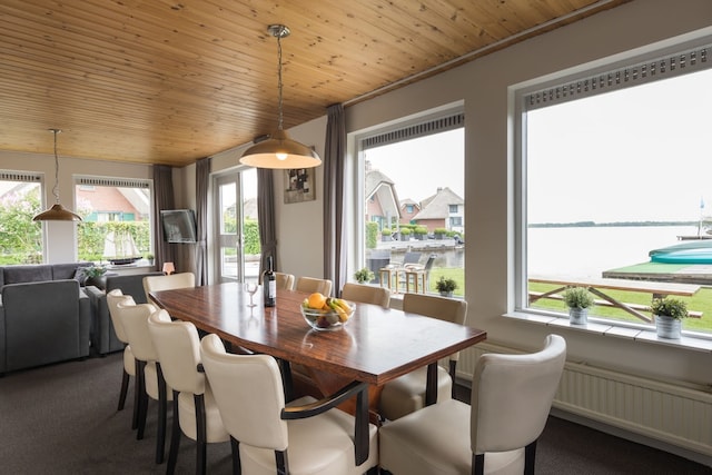 Rustiek-chique villa met rieten dak, Wanneperveen