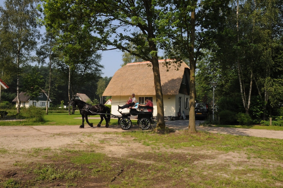 Holiday Home in Heeten near Forest, Raalte
