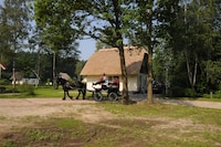 Vakantiehuis in Heeten bij Bos