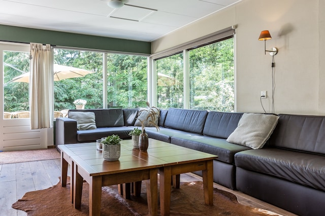 Woning met veel privacy, in het bos, Steenwijkerland