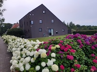 Ferienhaus in Langweer am Wassersport