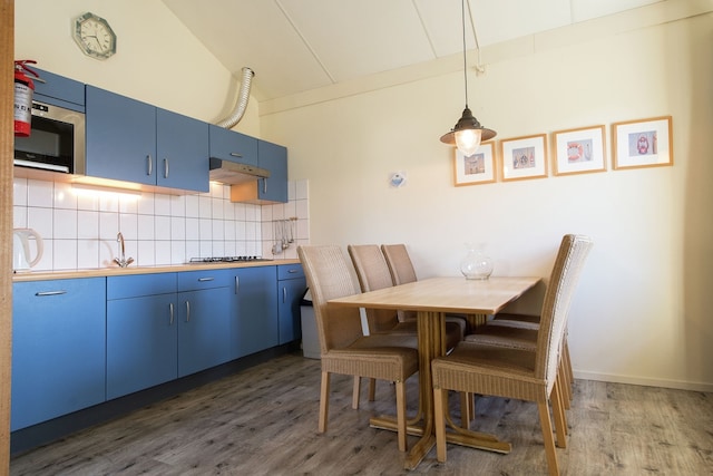 Huisdiervriendelijk uitje, Hollum