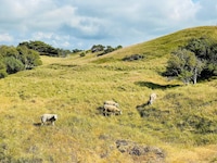 Ritiro di lusso con piscina -- By Traum Ferienwohnungen