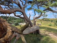 Ritiro di lusso con piscina -- By Traum Ferienwohnungen