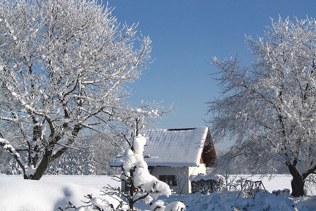 Erholsames Ferienhaus in Feldwies