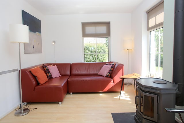 Classic Villa nr Sea, Texel, Texel