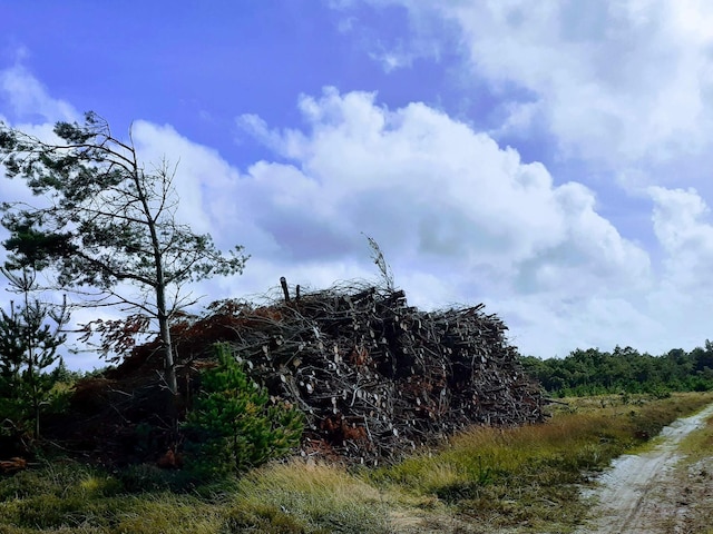 4 Personen Ferienhaus in Oksbøl-By Traum, Southern West Coast