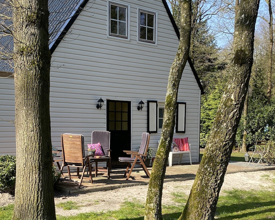 Villa in Drents-Friese Forest with Pool, Westerveld