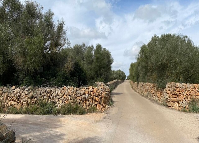 Villa in Ses Salines met privézwembad, Ses Salines