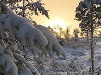 15 person holiday home in Treungen