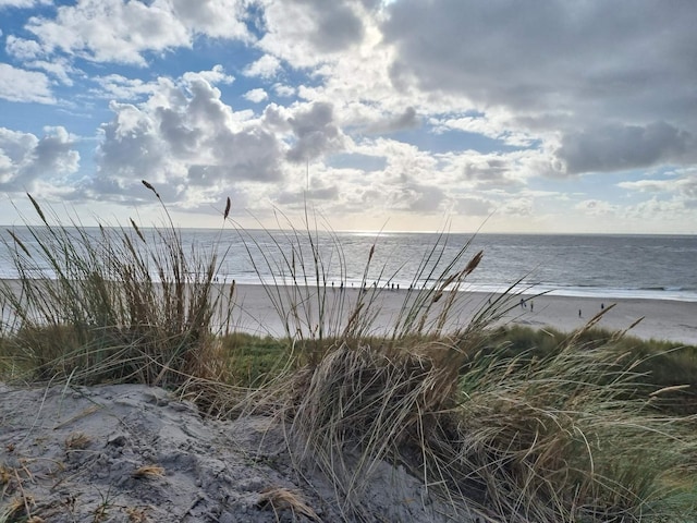 6 personen vakantie huis in Blåvand, Southern West Coast