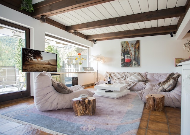 Modernes Ferienhaus nähe von Winterberg mit Garten, Winterberg