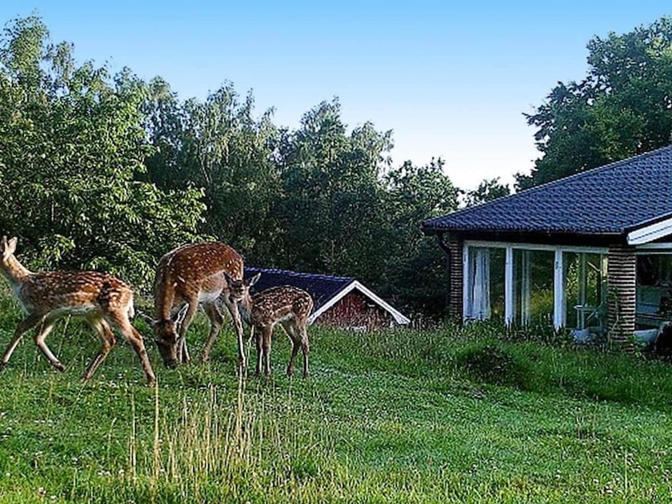 4 person holiday home in VEBERÖD-By Traum, Lund