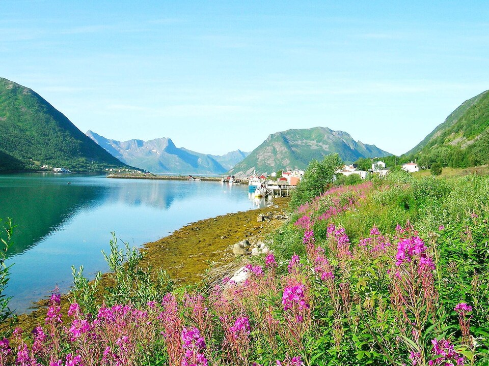 8 personen vakantie huis in Kaldfarnes, Senja - Troms