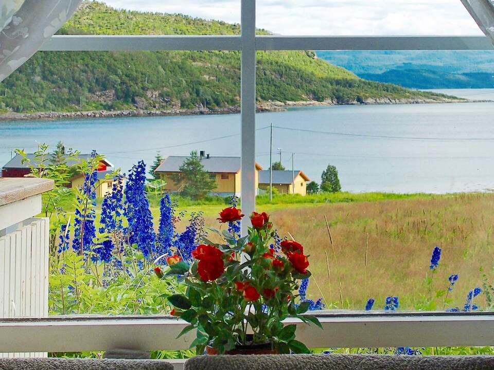 4 personen vakantie huis in Skatvik, Senja - Troms