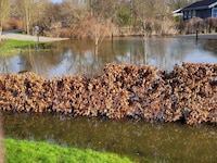 Kustenzauber in Ristinge-By Traum