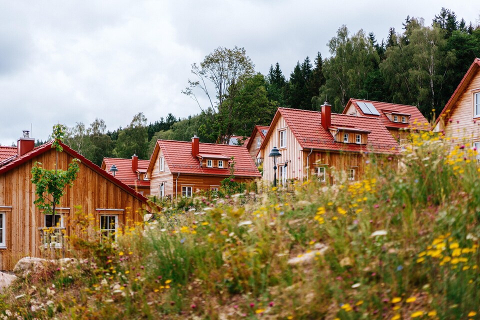 Chalet in Schierke nahe Brocken Loipen, Wernigerode