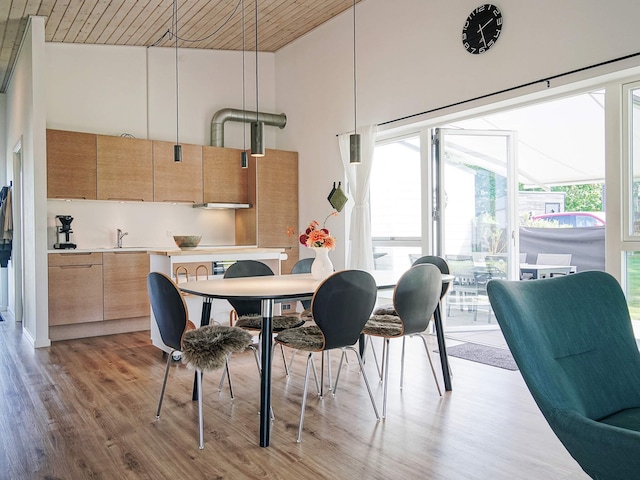 4 sterren vakantie huis in Nexø, Bornholm
