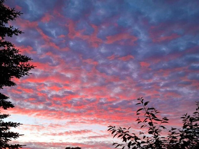 6 persoons vakantie huis in Toftlund-By Traum, Arrild