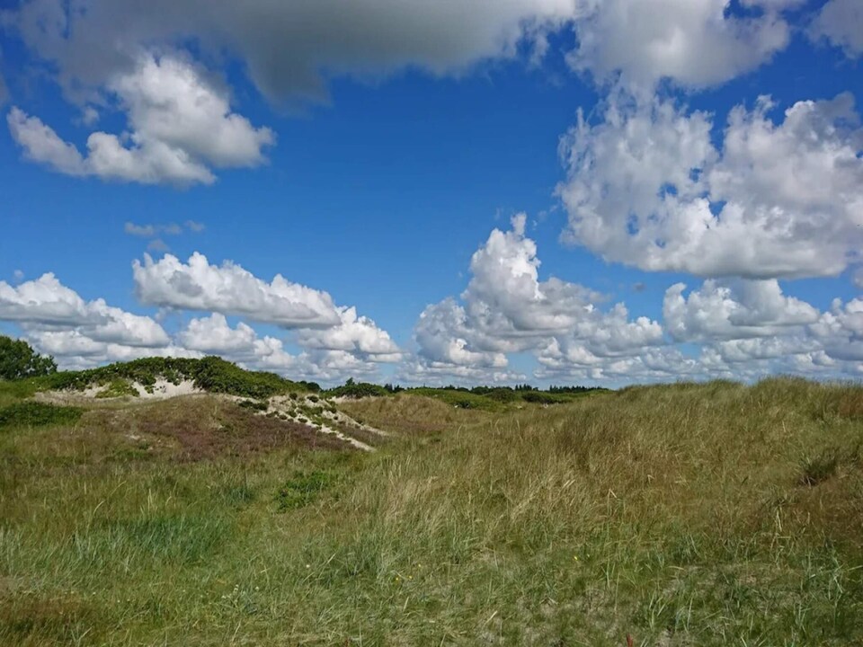 4 star holiday home in Hals, Northeast Jutland