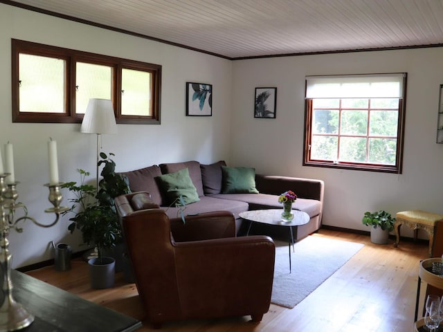 4 star holiday home in Hjärnarp, Ängelholm