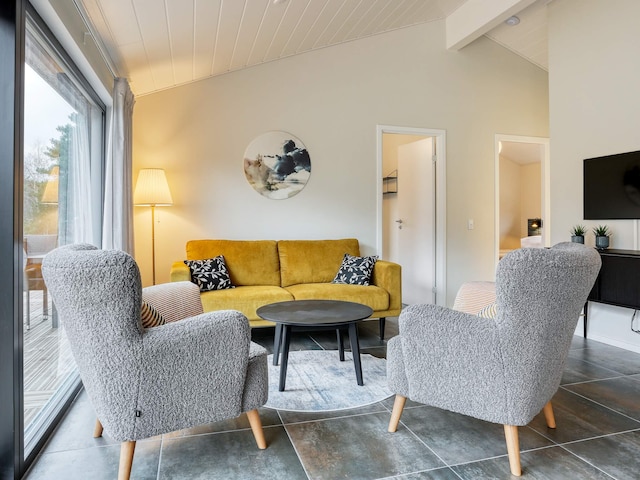 5 sterren vakantie huis in Læsø, Læsø