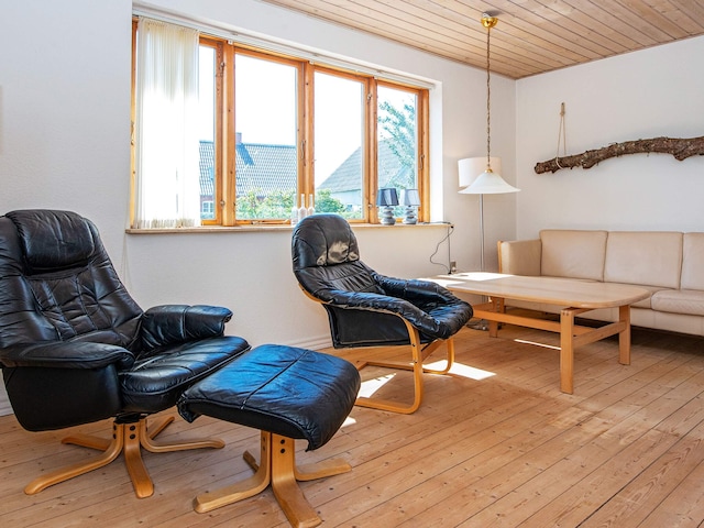 10 personen vakantie huis in Ulfborg, North Sea