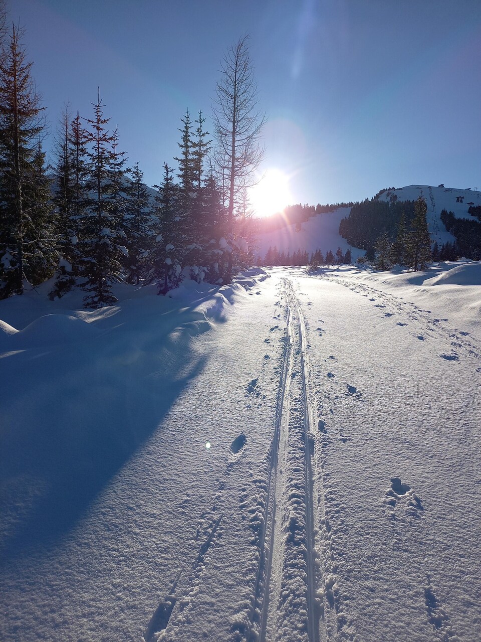 Wohnung für Allergiker in der Nähe des Wasserfalls, Krimml