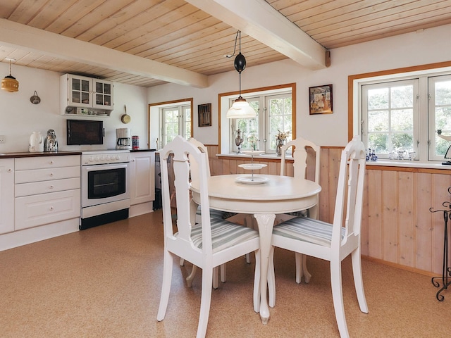 4 sterren vakantie huis in Læsø, Læsø