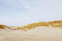Chalet paisible sur les dunes à Hollum