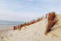 Chalet paisible sur les dunes à Hollum