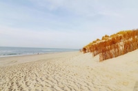 Chalet paisible sur les dunes à Hollum