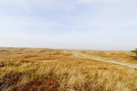 Chalet paisible sur les dunes à Hollum