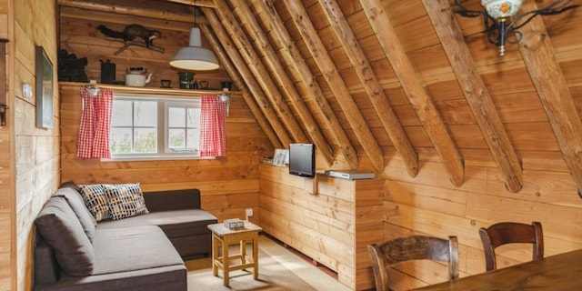 Vakantiehuis in Ruinerwold met tuin, Ruinerwold