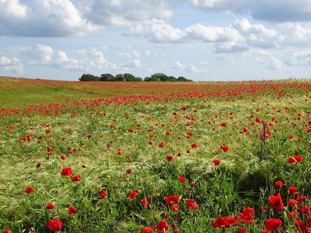 Maison de vacances pour 6 a Slagelse, Southwest Zealand