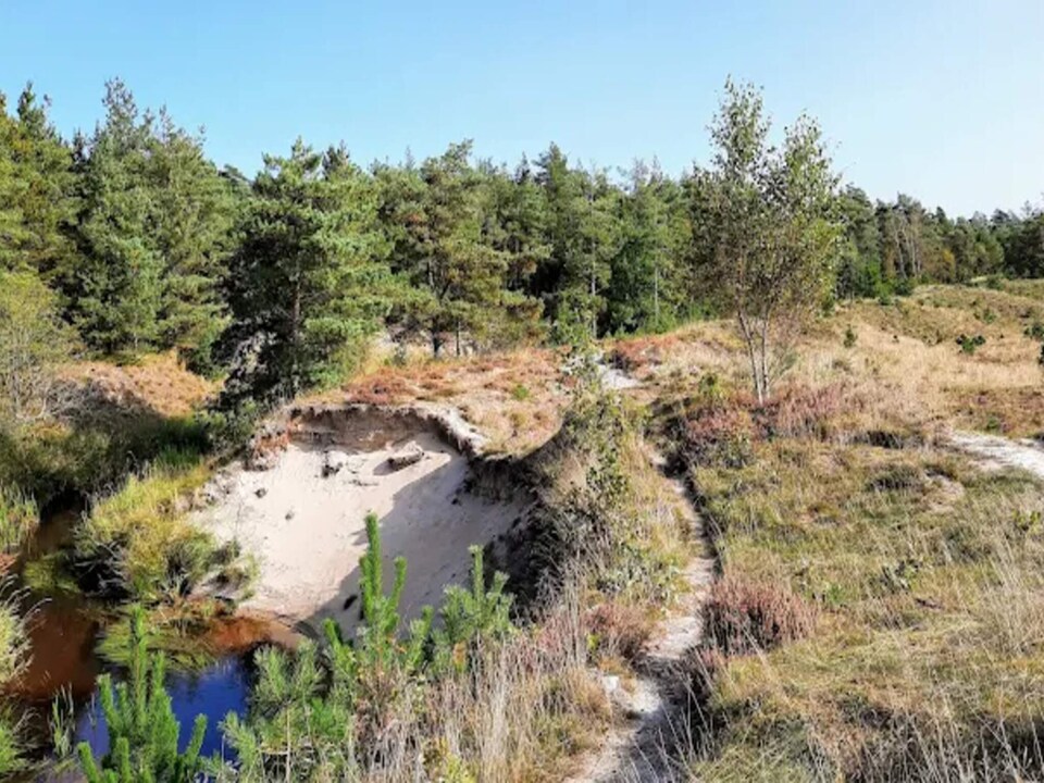2 personas casa en Ålbæk-By Traum, The Skagen area