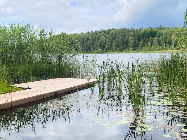 4 sterren vakantie huis in Askersund, Askersund
