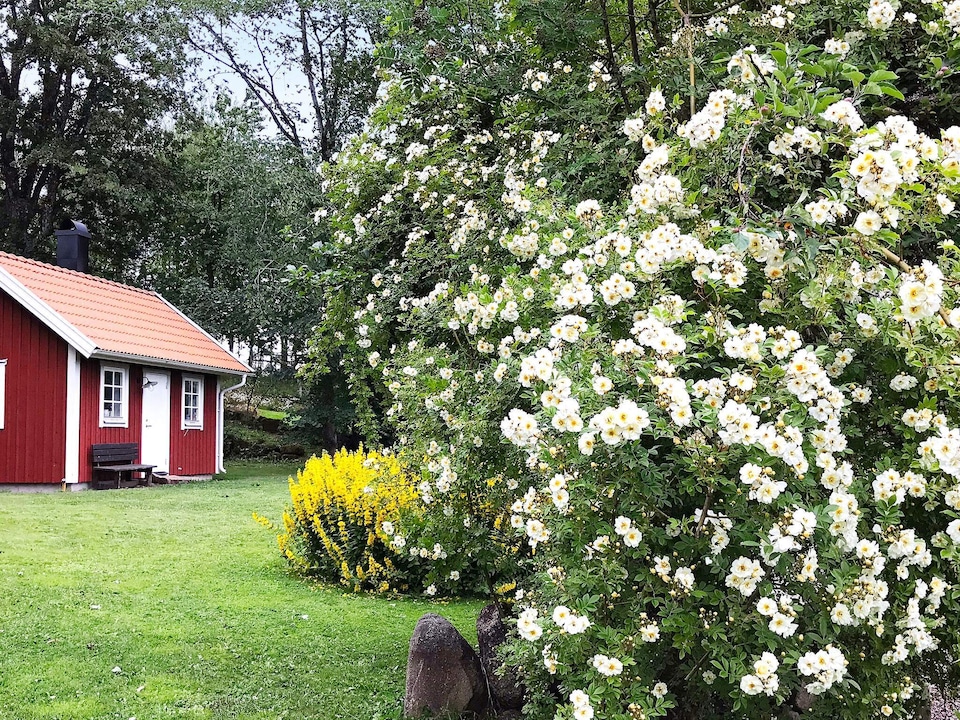 4 Personen Ferienhaus in Falköping, Falköping