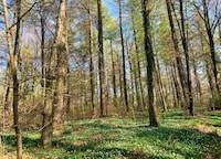 Bungalow bij Kronenburger See in Eifel